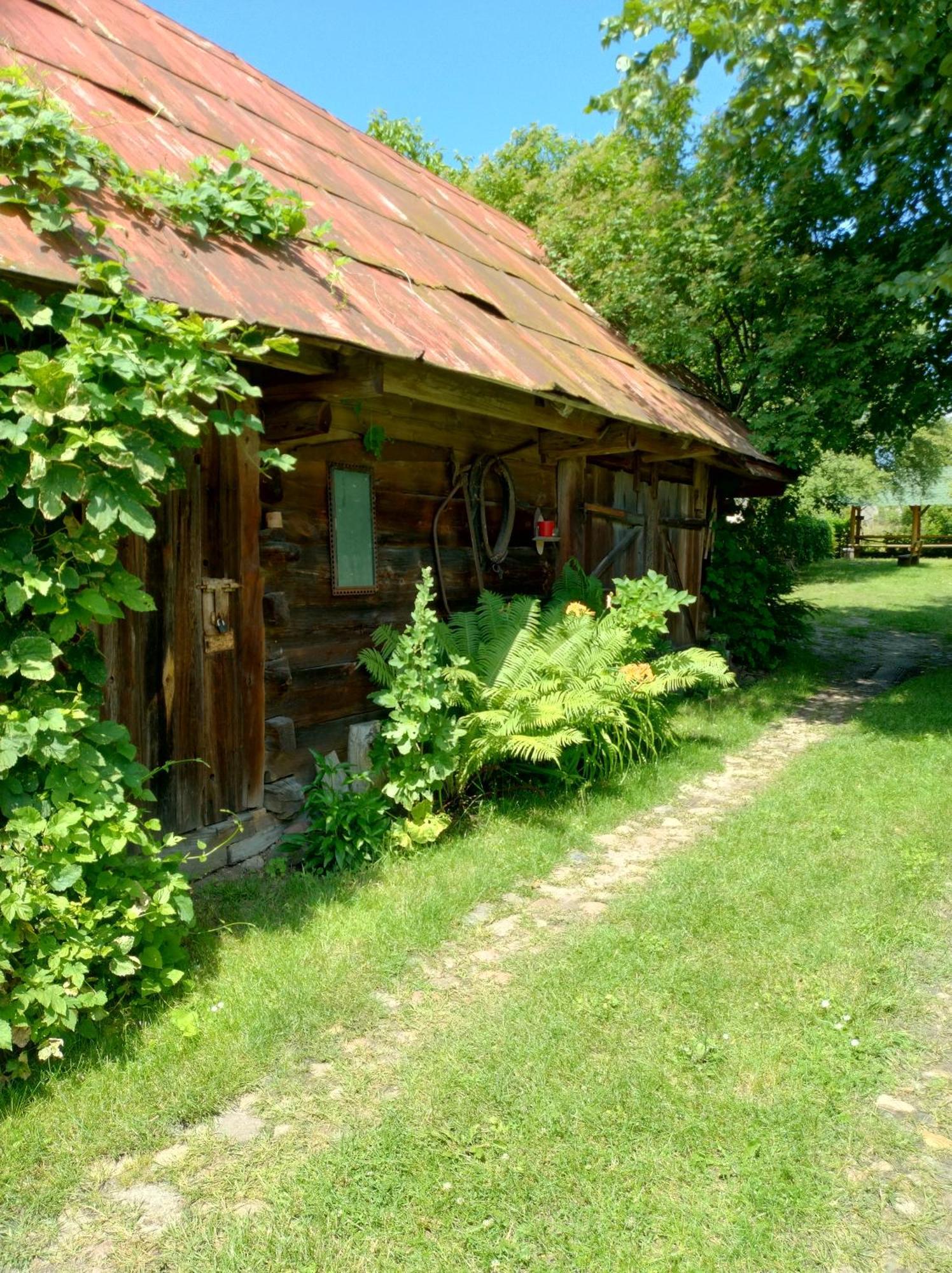 Dom Sloneczko Pokoje Do Wynajecia W Bialowiezy Białowieża Εξωτερικό φωτογραφία