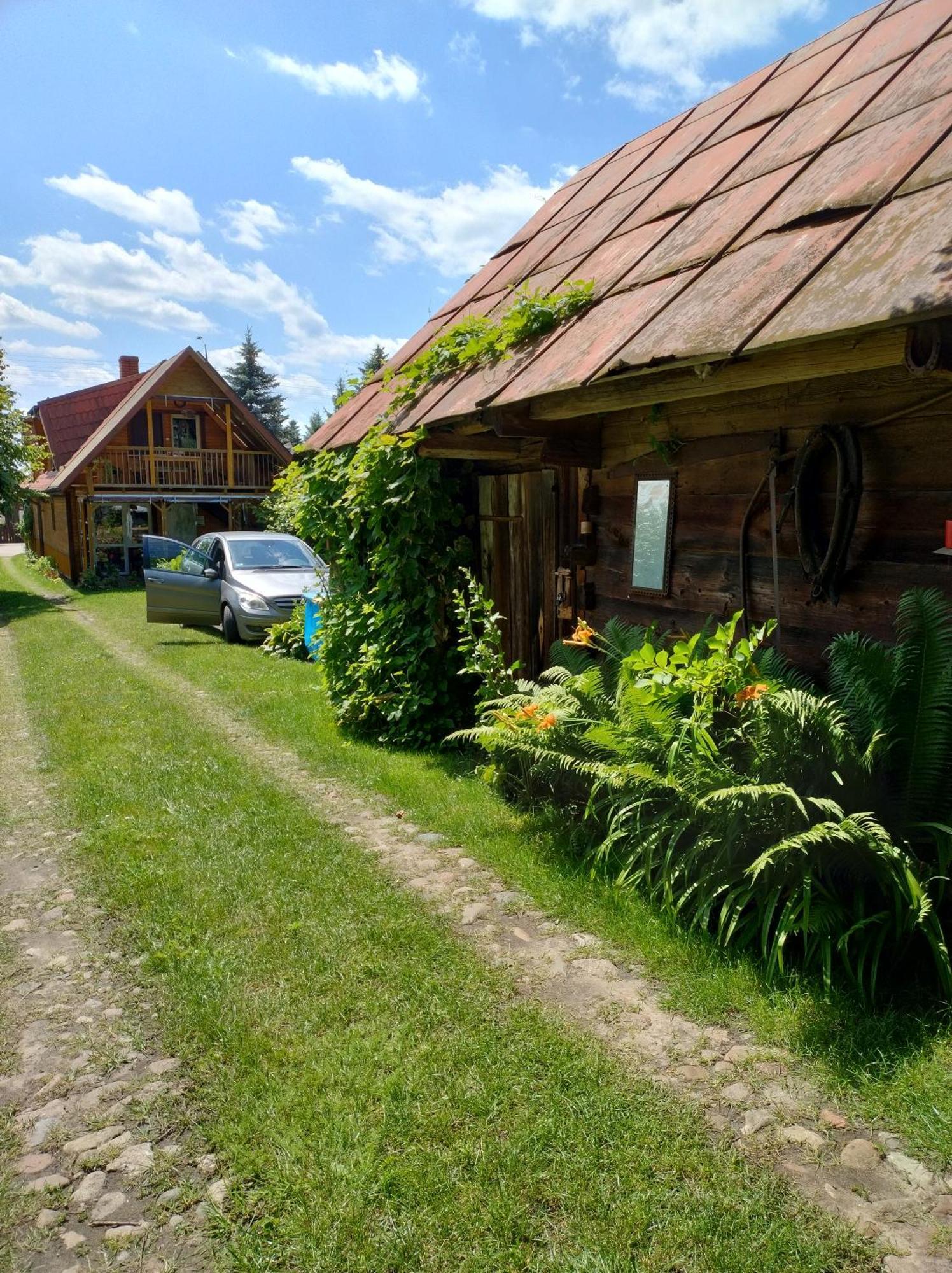 Dom Sloneczko Pokoje Do Wynajecia W Bialowiezy Białowieża Εξωτερικό φωτογραφία